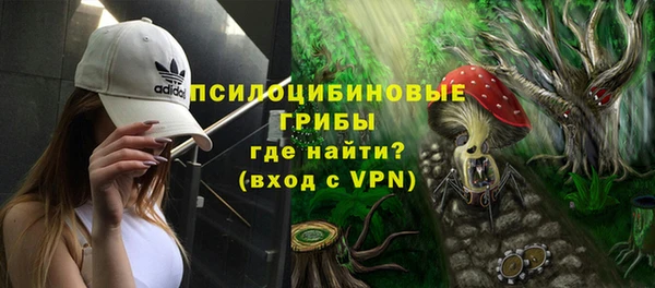 твердый Белокуриха