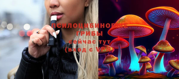 стафф Богородицк