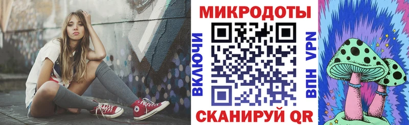 где купить   Гаврилов-Ям  Галлюциногенные грибы прущие грибы 